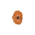 18 Mukhi Rudraksha Beads
