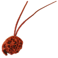 Ganesh Rudraksha Nepal in Thread