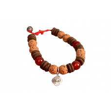 6 Mukhi Rudraksha and Red Carnelian Bracelet