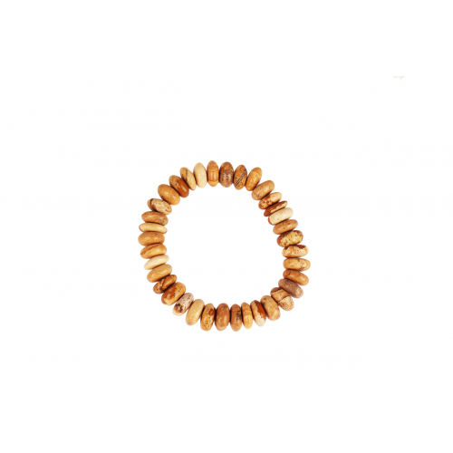 Picture Jasper Bracelet