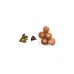 Rudraksha Gemstones Pack Of Supari Clove Cardamom