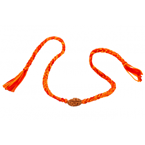 2 Mukhi Rakhi in thread