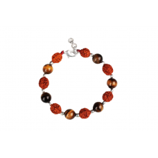 Rudraksha Tiger Eye Round beads Bracelet