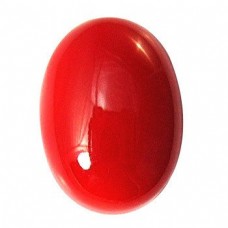 Red Italian Coral - 15.25 carats 