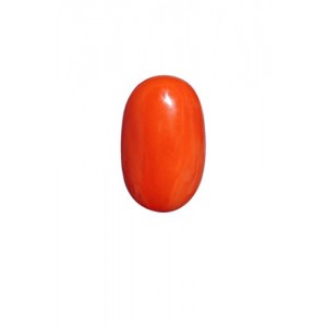 Red Japanese Coral - 11.50 carats