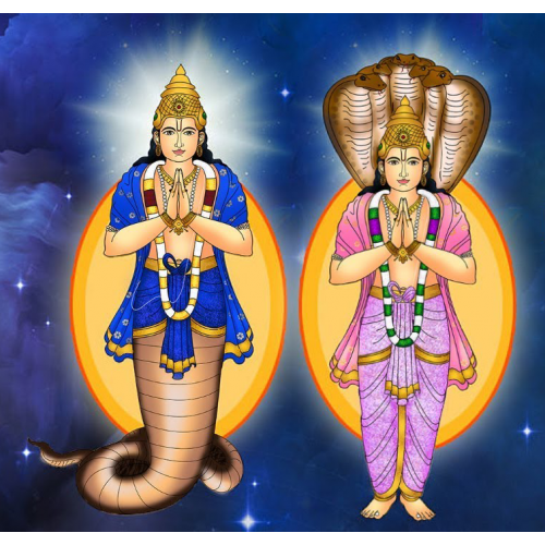 Rahu and Ketu Graha Puja Mantra Japa and  Yagna