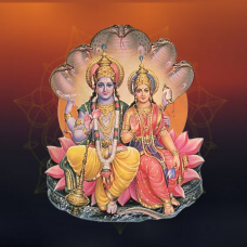 Laxmi Narayana Puja and Yajna 