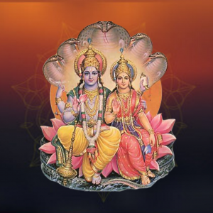 Laxmi Narayana Puja and Yajna 