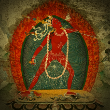 Vajra Puja and Yajna 