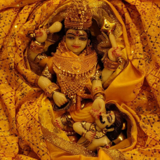 Baglamukhi Puja and Yagna 