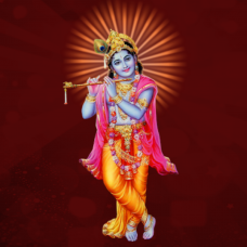 Shree Krishna Puja Mantra Japa and Yajna 