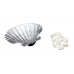 White Cowry Shells