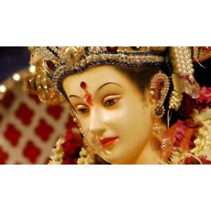 Parthiv Durga Puja and Yajna