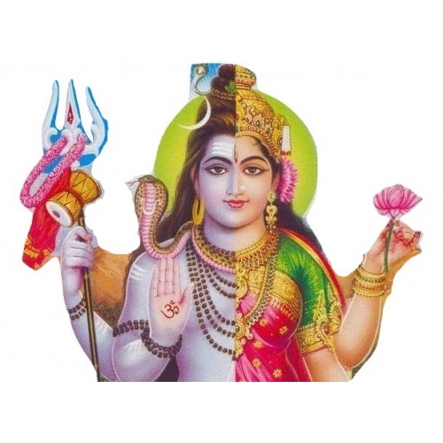 Ardhnarishwar Puja and Yajna