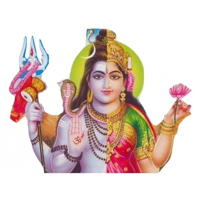 Rudra tandava of Ardhnarishwar