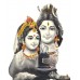 Shiva Gayatri Siddhi Mantra Japa and Yajna