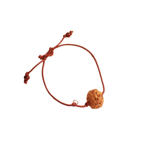 10 Mukhi Rudraksha Java Bracelet in Thread - 16mm