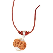 11 Mukhi Rudraksha Java Silver Capped Pendant in Thread 12mm