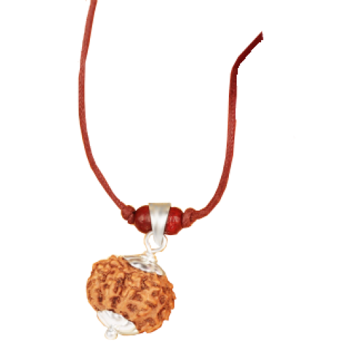 11 Mukhi Rudraksha Java Silver Capped Pendant in Thread 16mm