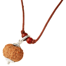 12 Mukhi Rudraksha Java Silver Capped Pendant in Thread 16mm