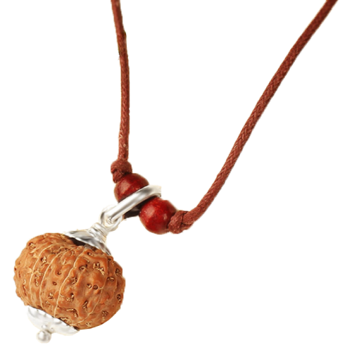 12 Mukhi Rudraksha Java Silver Capped Pendant in Thread 12mm