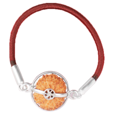 14 Mukhi Rudraksha Java/Indonesia  Silver Bracelet in Thread  15mm - 18mm