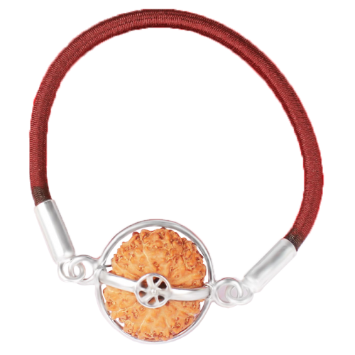 14 Mukhi Rudraksha Java/Indonesia  Silver Bracelet in Thread  22mm