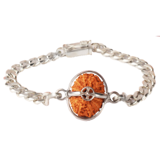 14 Mukhi Rudraksha Java/Indonesia  Silver Bracelet in Silver Chain 15mm - 18mm