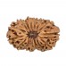 15 Mukhi Rudraksha from Indonesia/Java - Large 20mm-21mm