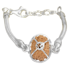 16 Mukhi Rudraksha Indonesia/Java  Silver Bracelet in Silver Snake Chain Small 14mm-17mm