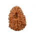 18 Mukhi Rudraksha from Indonesia/Java - Large (19mm-21mm)