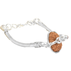 19 mukhi rudraksha Nepal in Silver Snake Chain Bracelet 28mm-30mm