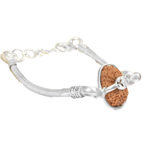 19 mukhi rudraksha Java/Indonesia in Silver Snake Chain Bracelet 12mm-15mm