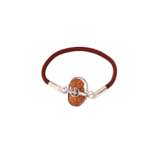 20 mukhi Rudraksha Java/Indonesia Silver Capped Bracelet in Thread 17mm-18mm