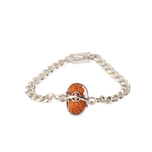 20 mukhi Rudraksha Java/Indonesia Bracelet in Silver Chain 17mm-18mm 