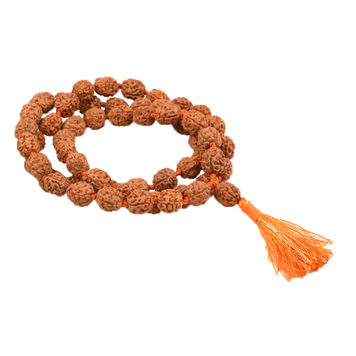 4 Mukhi Bramha Mala 54+1 Beads in Thread - 10mm