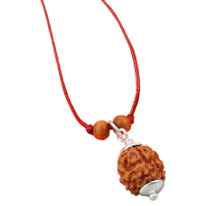 4 Mukhi Rudraksha in Pendant with Silver Capping Medium from java/Indonesia - 12mm