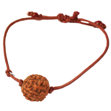 6 Mukhi Rudraksha Java Bracelet in Thread - 10mm