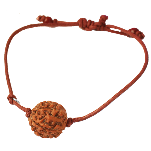 6 Mukhi Rudraksha Java Bracelet in Thread - 10mm