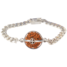 6 Mukhi Rudraksha Java Bracelet with Silver Chain - 15mm