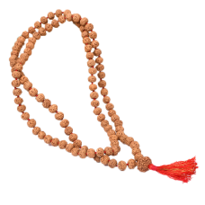 7 mukhi Mahalaxmi Mala Chikna Beads - 8mm