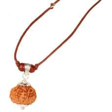 7 mukhi rudraksha Java in Silver  with Thread Large 14mm