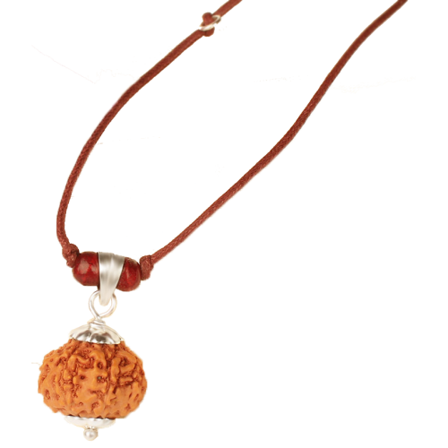 7 mukhi Rudraksha Java in Silver  with Thread Small 10mm