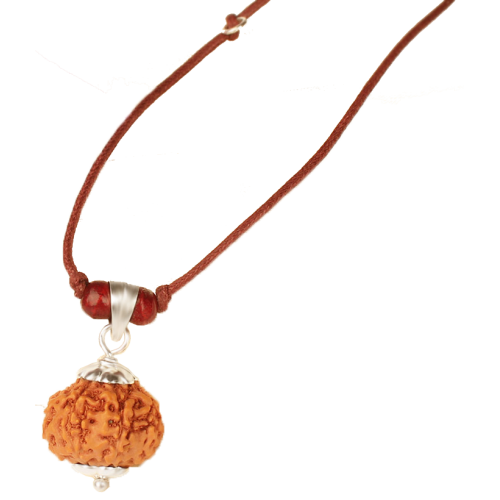 7 mukhi rudraksha Java in Silver  with Thread Large 14mm