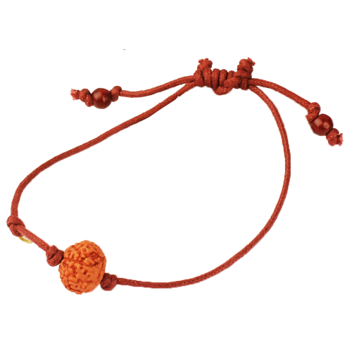 8 Mukhi Rudraksha Java Bracelet in thread Large