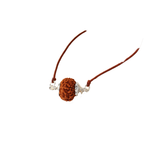 9 mukhi Rudraksha Java Silver Capped Pendant in Thread Medium 16mm