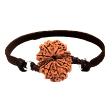 10 Mukhi Rudraksha Nepal Bracelet in Thread Small  20mm