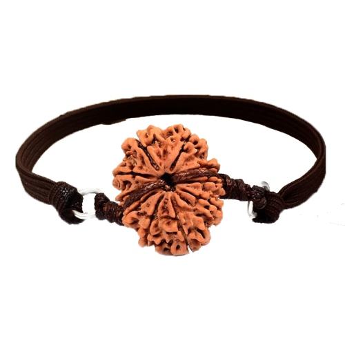 10 Mukhi Rudraksha Nepal Bracelet in Thread Small  20mm