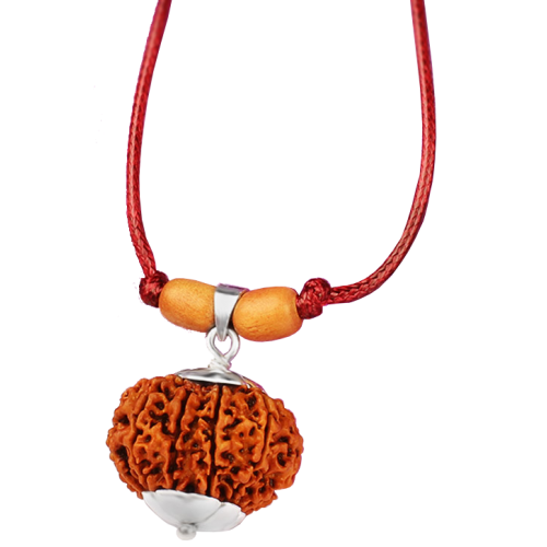 11 Mukhi Rudraksha Nepal Silver Capped Pendant in Thread 22mm