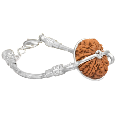 11 Mukhi Rudraksha Nepal  Silver Bracelet in Snake Chain 22mm